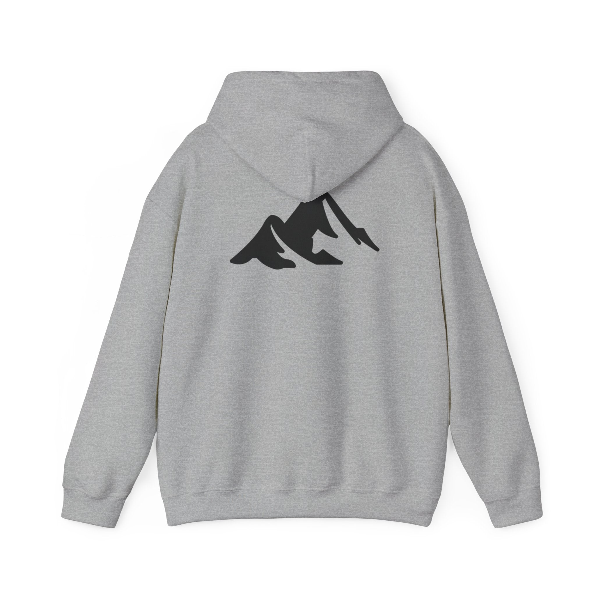 Hoodie — Shadow Supply Retro Logo Hoodie with Mountain Back Graphic